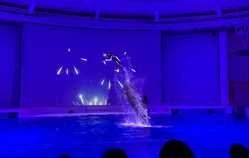 アクアワールド茨城県大洗水族館に投稿された画像（2022/5/28）