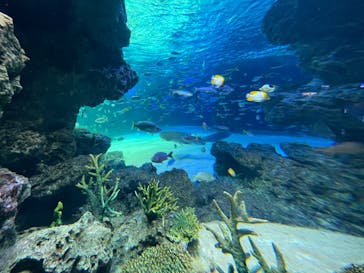 サンシャイン水族館に投稿された画像（2022/5/28）