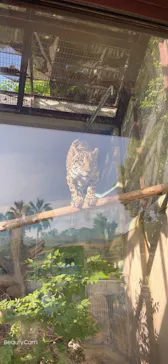 天王寺動物園に投稿された画像（2022/5/28）