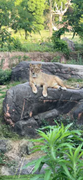 天王寺動物園に投稿された画像（2022/5/28）