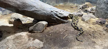 天王寺動物園に投稿された画像（2022/5/28）