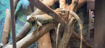 天王寺動物園に投稿された画像（2022/5/28）