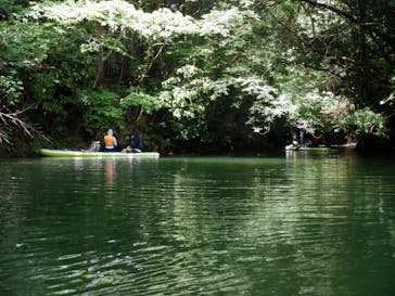 Verde Odai（ベルデオオダイ）に投稿された画像（2022/5/28）