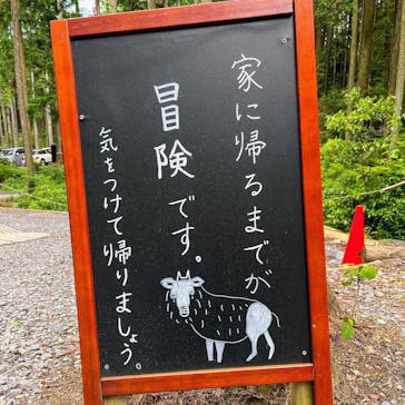 アドベンチャーパーク　オドルの森に投稿された画像（2022/5/28）