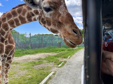 那須サファリパークに投稿された画像（2022/5/28）