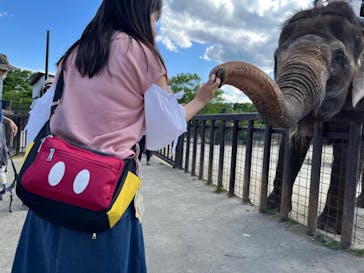 那須サファリパークに投稿された画像（2022/5/28）