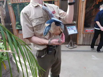 神戸どうぶつ王国に投稿された画像（2022/5/28）