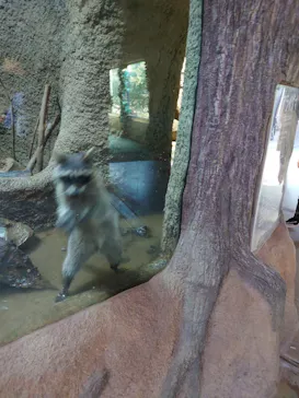 神戸どうぶつ王国に投稿された画像（2022/5/28）