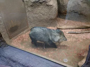 神戸どうぶつ王国に投稿された画像（2022/5/28）