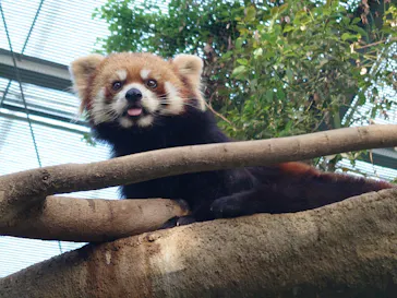 神戸どうぶつ王国に投稿された画像（2022/5/28）