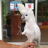 ネオパークオキナワに投稿された画像（2022/5/28）