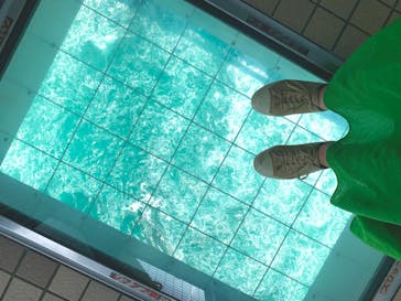 徳島県立 渦の道に投稿された画像（2022/5/28）