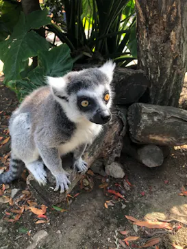 神戸どうぶつ王国に投稿された画像（2022/5/28）