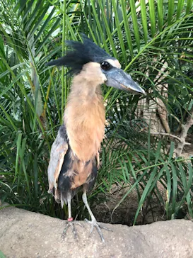 神戸どうぶつ王国に投稿された画像（2022/5/28）