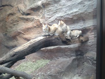 那須どうぶつ王国に投稿された画像（2022/5/28）