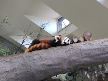 那須どうぶつ王国に投稿された画像（2022/5/28）