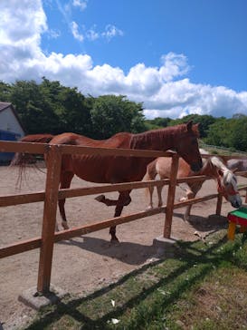 那須どうぶつ王国に投稿された画像（2022/5/28）