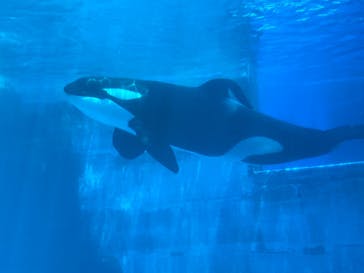 名古屋港水族館に投稿された画像（2022/5/28）