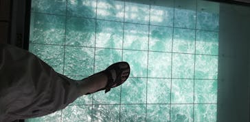 徳島県立 渦の道に投稿された画像（2022/5/28）