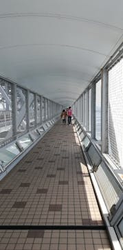 徳島県立 渦の道に投稿された画像（2022/5/28）