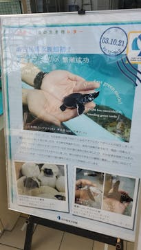 名古屋港水族館に投稿された画像（2022/5/28）