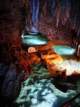 おきなわワールドに投稿された画像（2022/5/28）