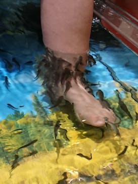 おきなわワールドに投稿された画像（2022/5/28）