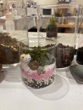 伊勢夫婦岩めおと横丁　めおと岩アクティビティに投稿された画像（2022/5/28）