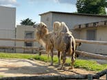東武動物公園に投稿された画像（2022/5/29）