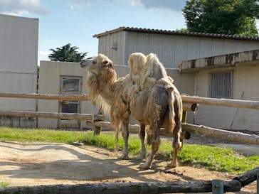 東武動物公園に投稿された画像（2022/5/28）