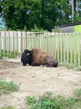 東武動物公園に投稿された画像（2022/5/28）