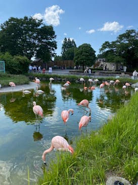 東武動物公園に投稿された画像（2022/5/28）