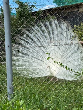 東武動物公園に投稿された画像（2022/5/28）