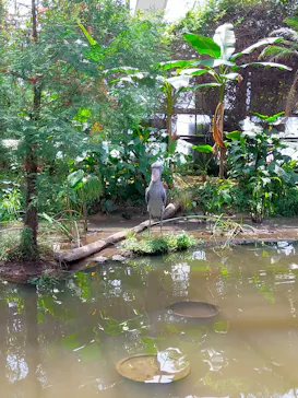 神戸どうぶつ王国に投稿された画像（2022/5/28）