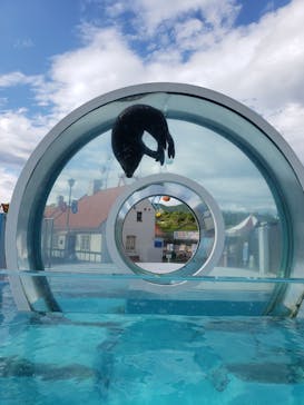 登別マリンパークニクスに投稿された画像（2022/5/29）