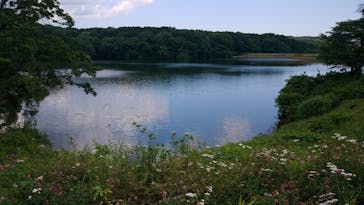 ムーミンバレーパークに投稿された画像（2022/5/29）