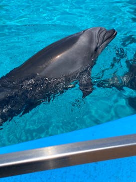 名古屋港水族館に投稿された画像（2022/5/29）