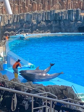 名古屋港水族館に投稿された画像（2022/5/29）