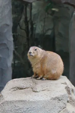 神戸どうぶつ王国に投稿された画像（2022/5/29）