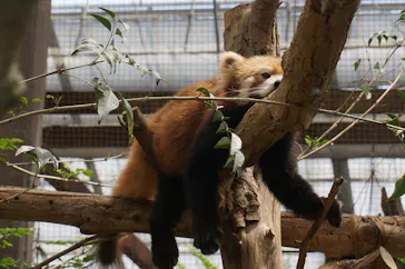 神戸どうぶつ王国に投稿された画像（2022/5/29）