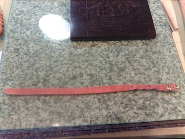 アカネス 清水店に投稿された画像（2022/5/29）