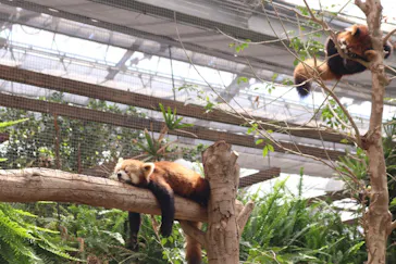 神戸どうぶつ王国に投稿された画像（2022/5/29）