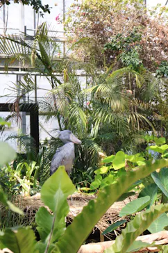 神戸どうぶつ王国に投稿された画像（2022/5/29）