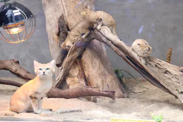 神戸どうぶつ王国に投稿された画像（2022/5/29）