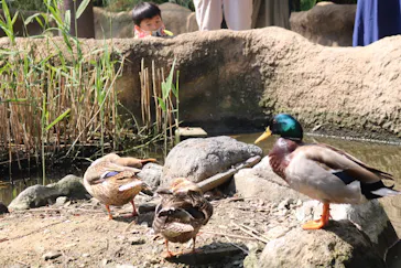 神戸どうぶつ王国に投稿された画像（2022/5/29）