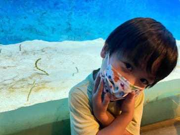 大分マリーンパレス水族館 「うみたまご」に投稿された画像（2022/5/29）