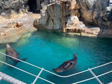 大分マリーンパレス水族館 「うみたまご」に投稿された画像（2022/5/29）