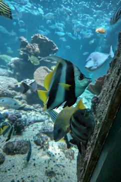 串本海中公園水族館に投稿された画像（2022/5/29）