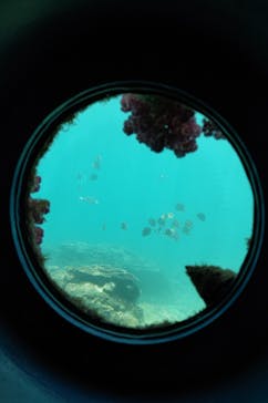 串本海中公園水族館に投稿された画像（2022/5/29）