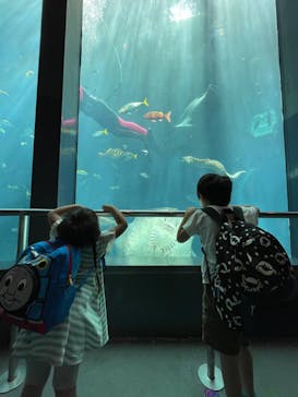 下田海中水族館に投稿された画像（2022/5/29）